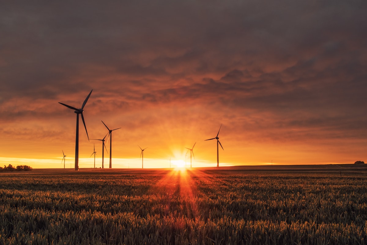 Windkraft und Energieoptimierung
